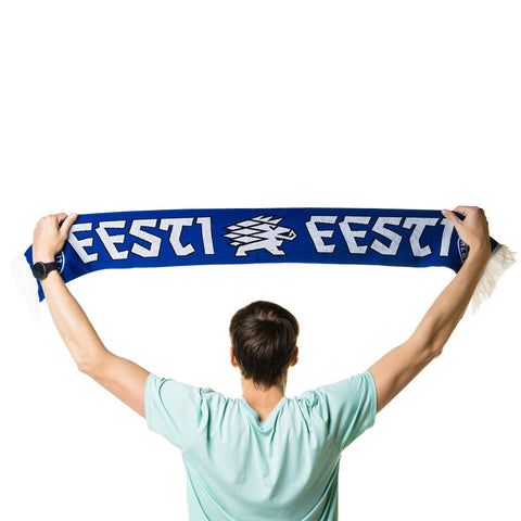 Eesti jalgpallikoondise fännisall SIIL