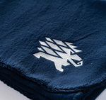Eesti jalgpallikoondise fliis pleed Siil logoga