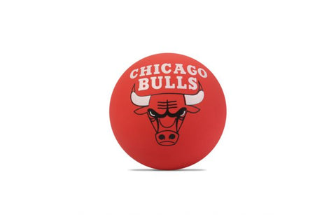 NBA Spaldeen Bulls